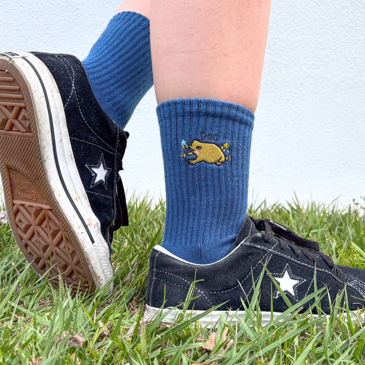 Dog Frog Socks