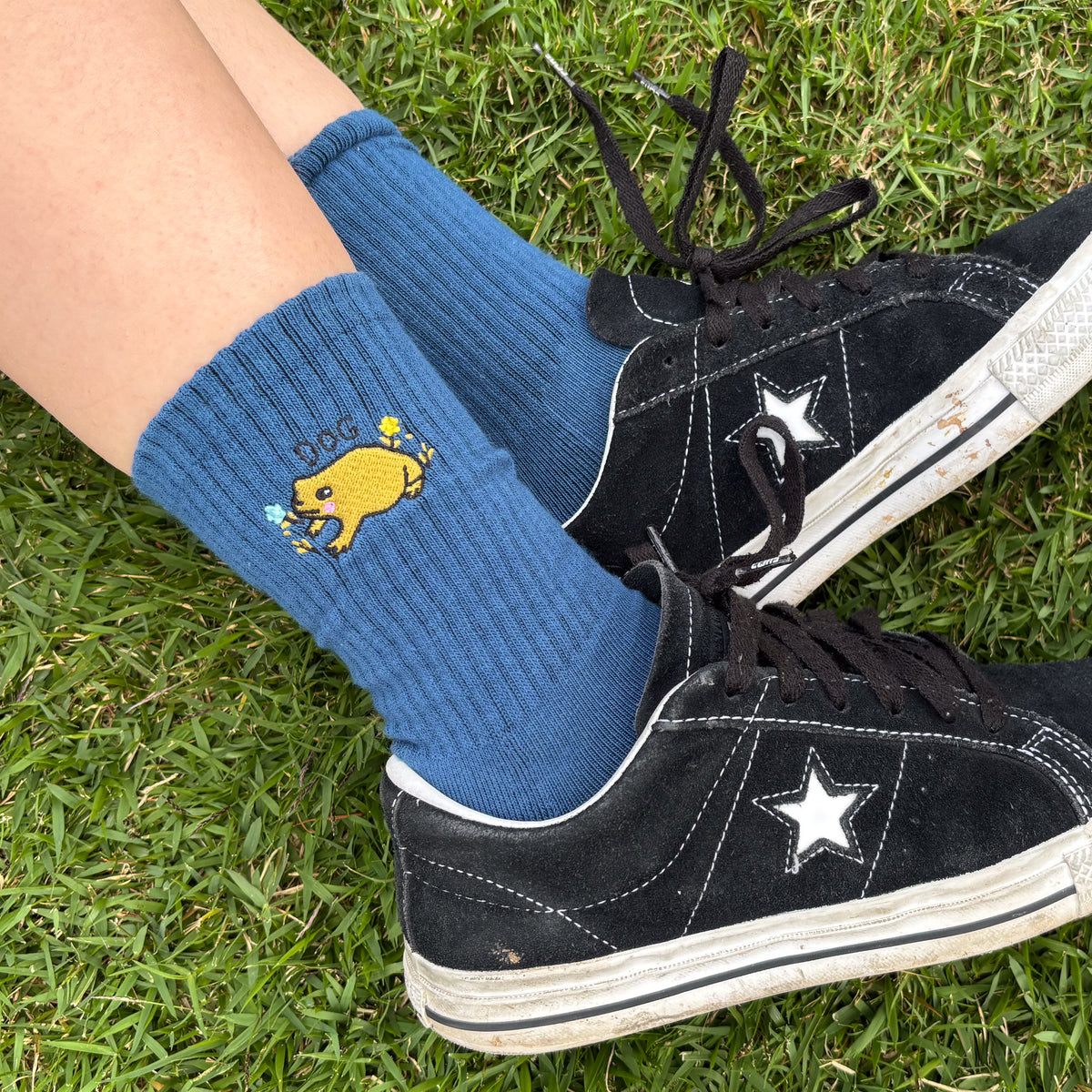 Dog Frog Socks
